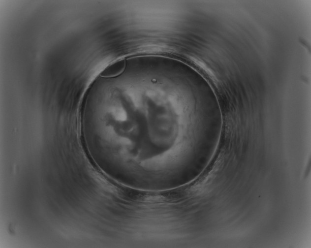 X0000093241467200710031552