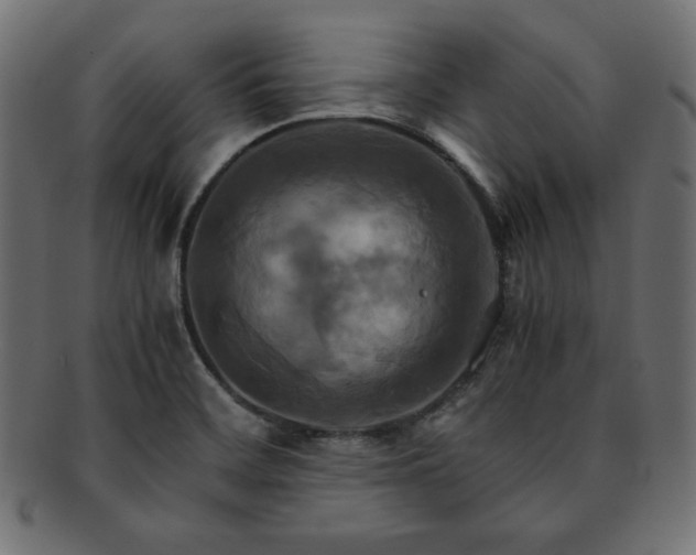 X0000093241468200710031552