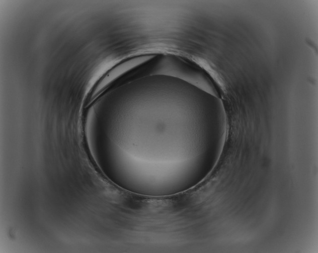 X0000093241469200710031552