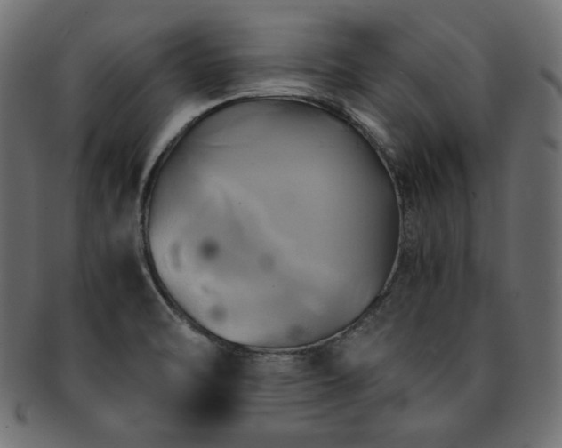 X0000093241470200710031552