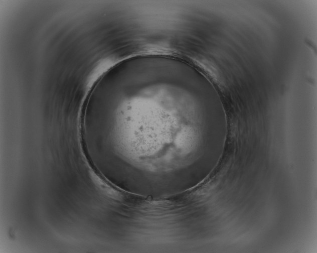 X0000093241471200710031552