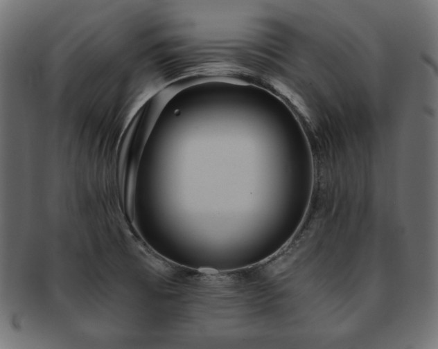 X0000093241473200710031552