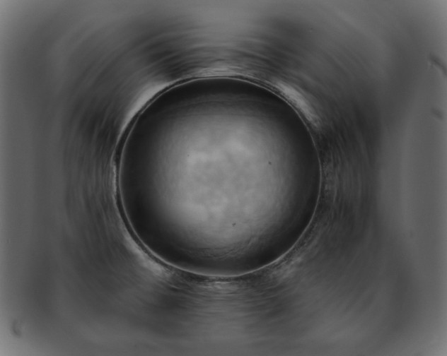 X0000093241476200710031552