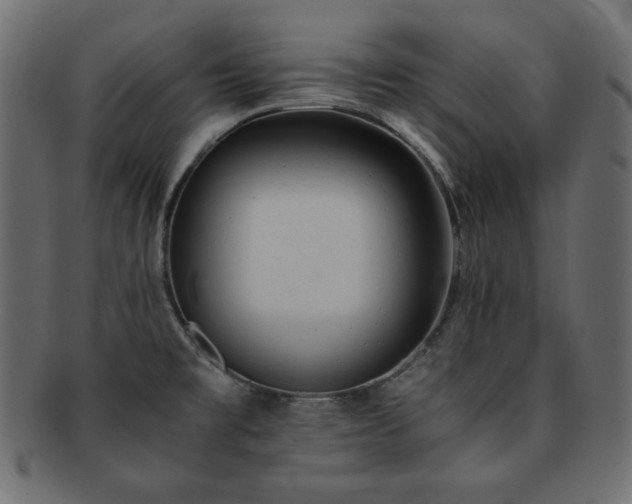 X0000093241477200710031552