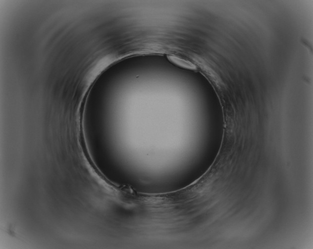 X0000093241479200710031552