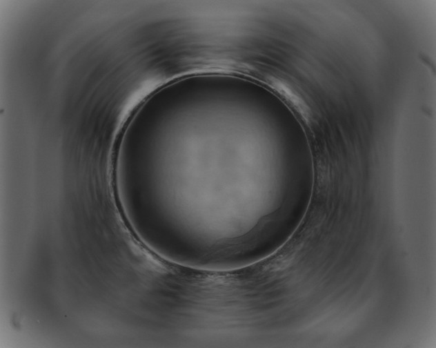X0000093241480200710031552