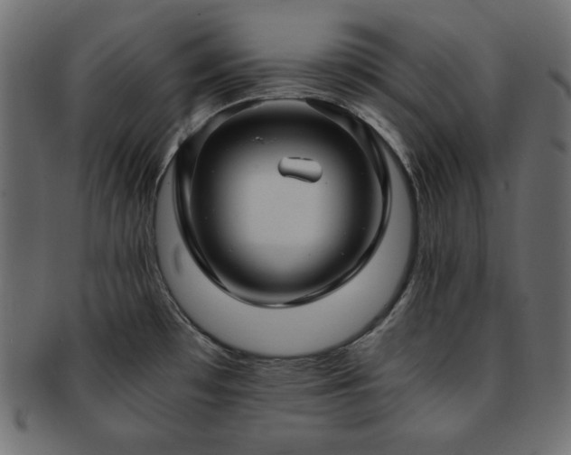 X0000093241481200710031552