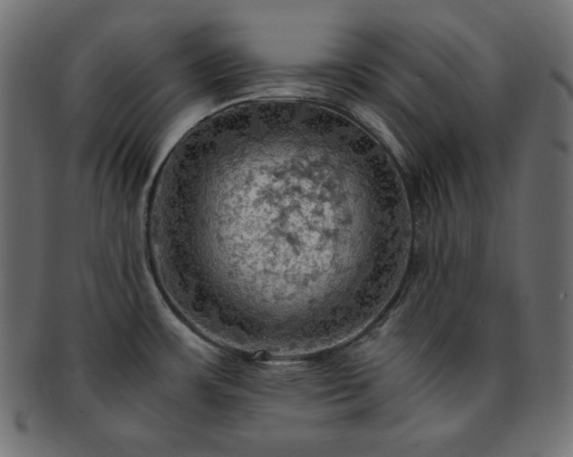 X0000093241483200710031552
