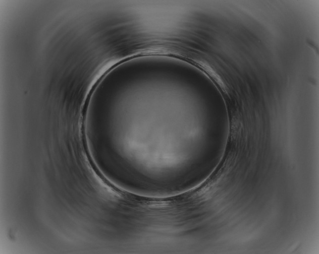 X0000093241484200710031552
