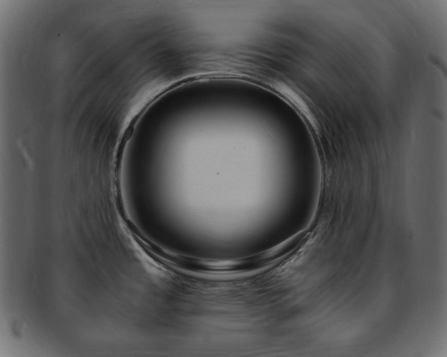 X0000093241485200710031552
