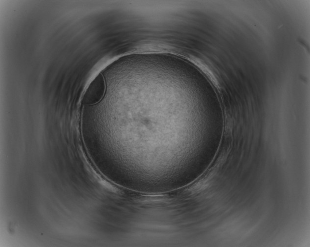 X0000093241486200710031552