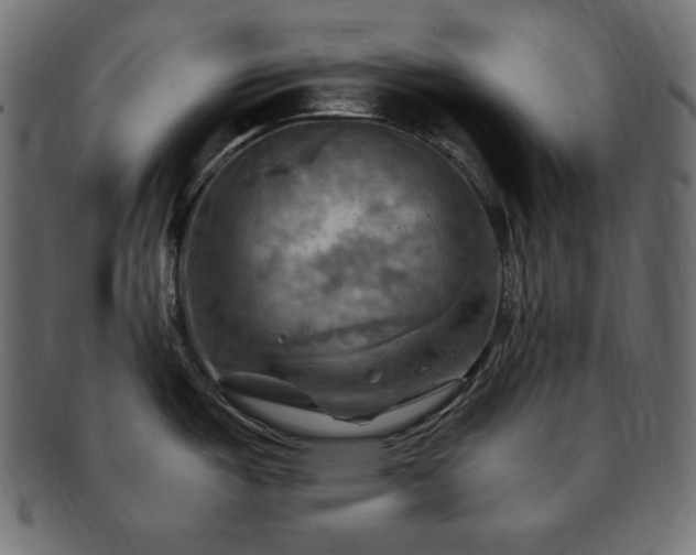 X0000093241487200710031552