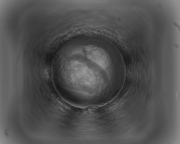 X0000093241490200710031551