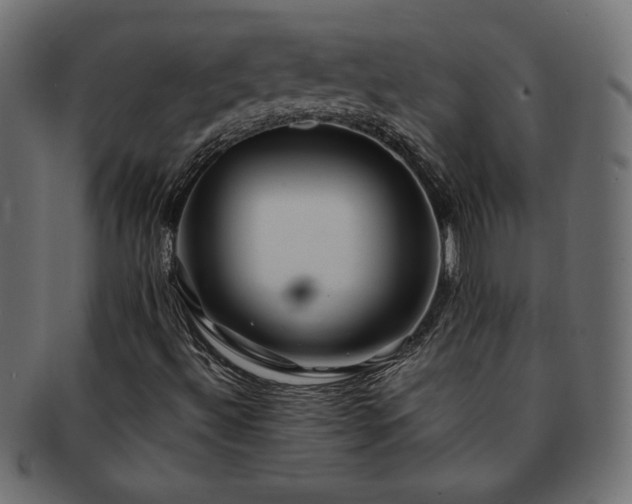 X0000093241492200710031551