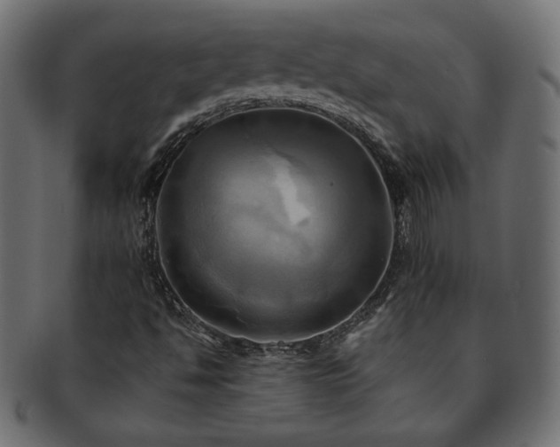 X0000093241494200710031551