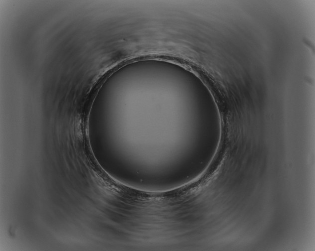 X0000093241497200710031551
