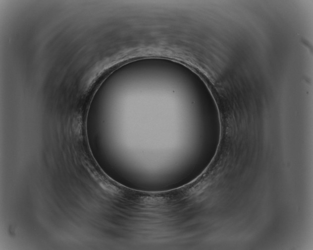 X0000093241499200710031551