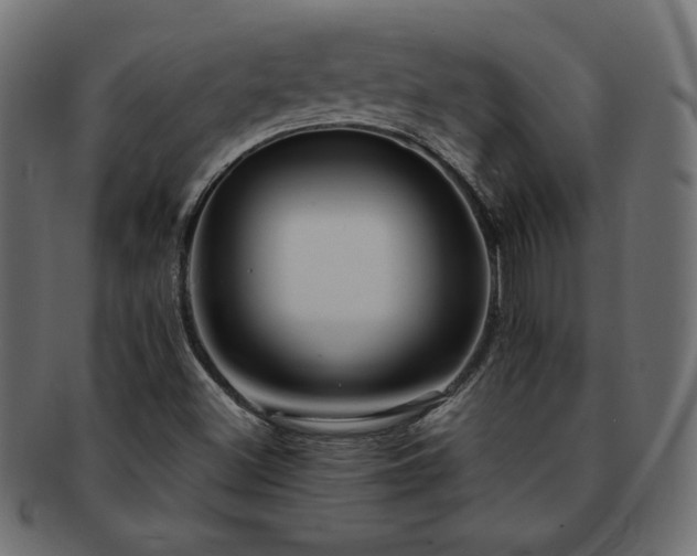 X0000093241500200710031551