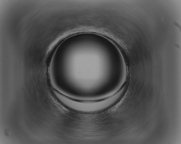 X0000093241502200710031551