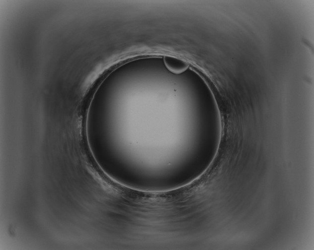 X0000093241503200710031551