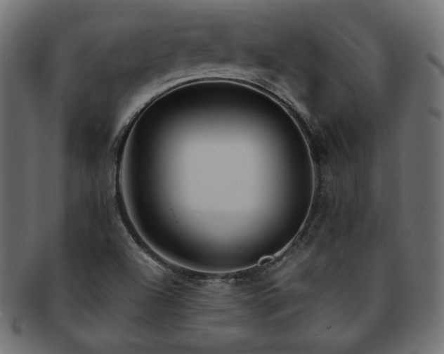 X0000093241504200710031551