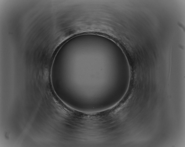 X0000093241505200710031551