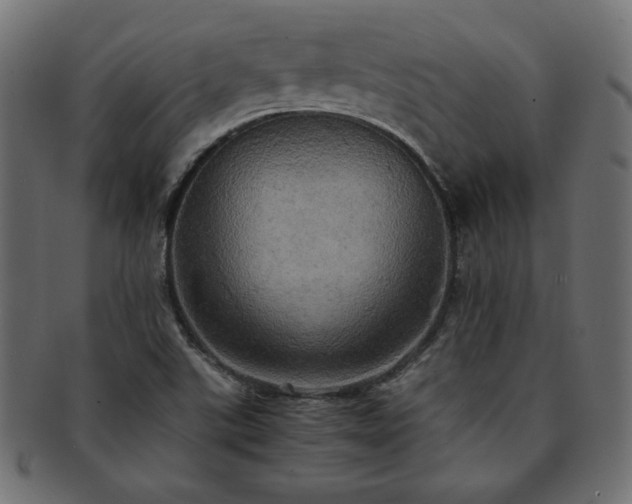 X0000093241507200710031551