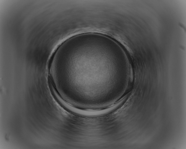 X0000093241508200710031551
