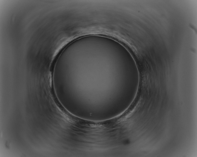 X0000093241509200710031551
