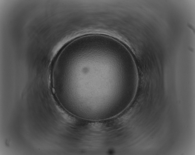 X0000093241511200710031551