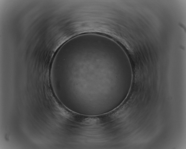 X0000093241513200710031551