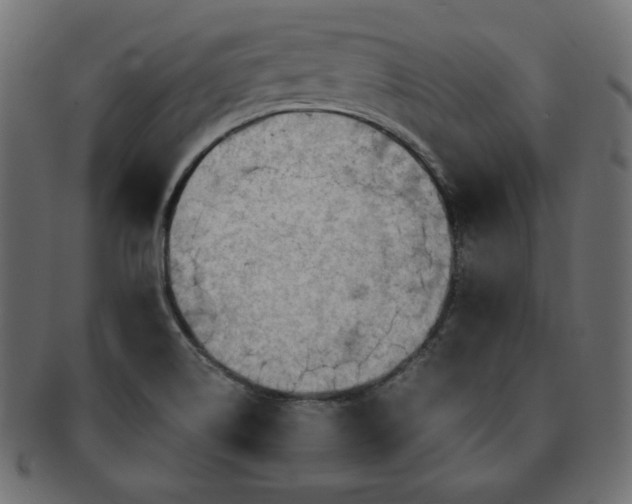 X0000093241514200710031551