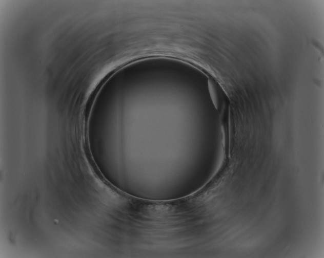 X0000093241515200710031551