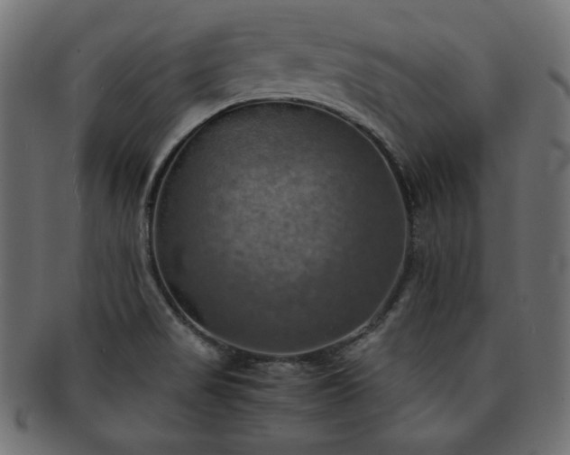 X0000093241517200710031551