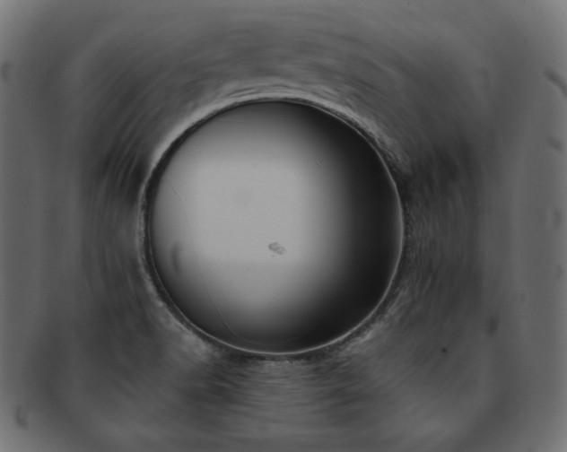 X0000093241518200710031551