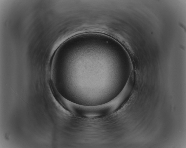X0000093241520200710031551