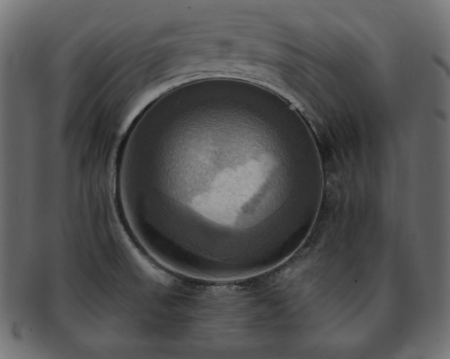 X0000093241523200710031552