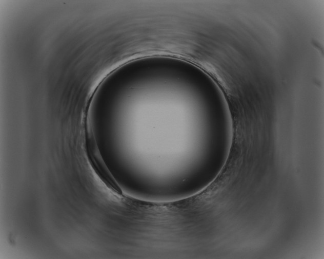 X0000093241524200710031552