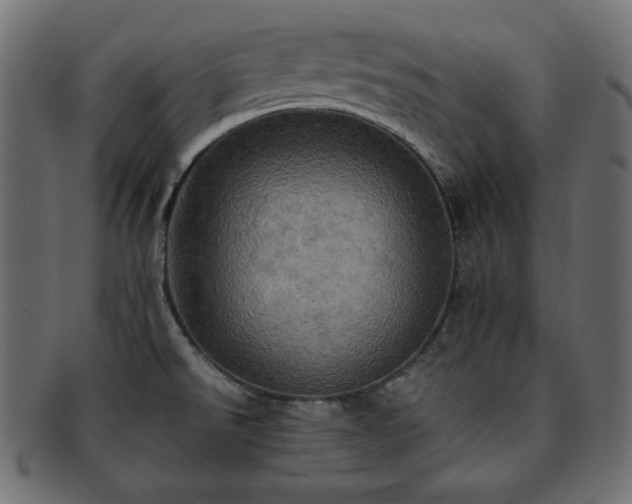 X0000093241526200710031552