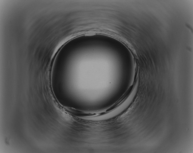 X0000093241530200710031552