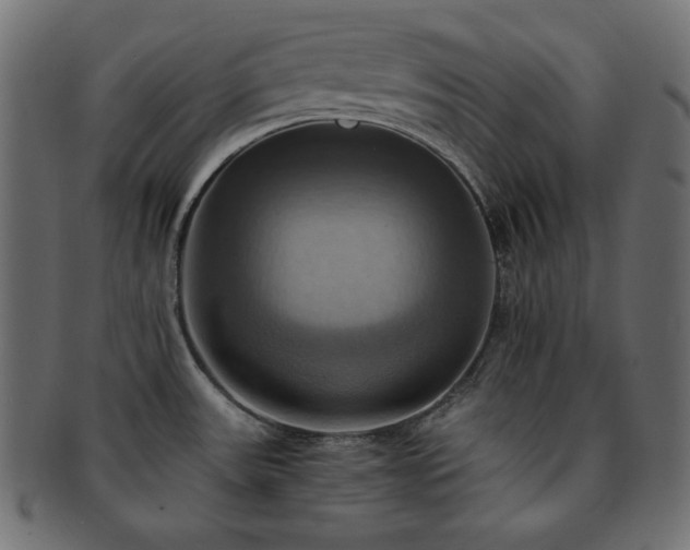 X0000093241531200710031552