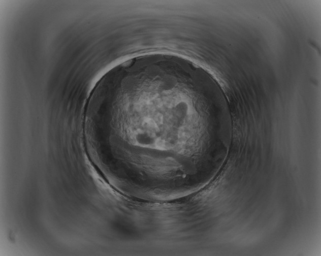 X0000093241534200710031552