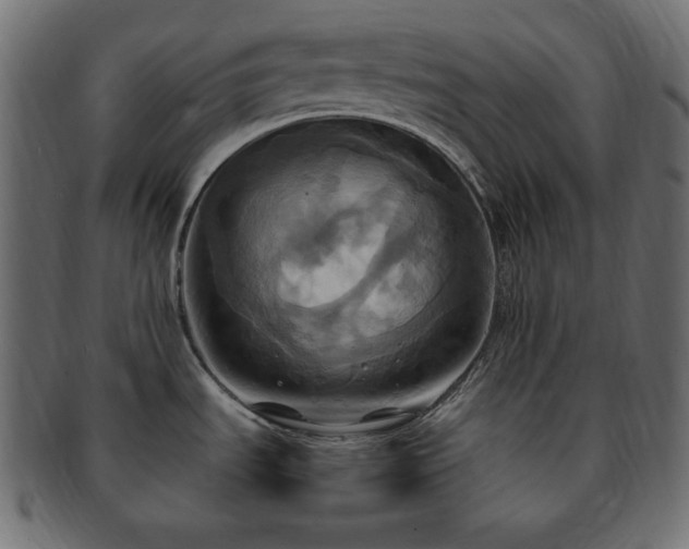 X0000093241535200710031552