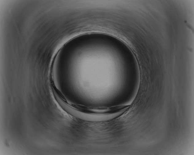 X0000093241536200710031552