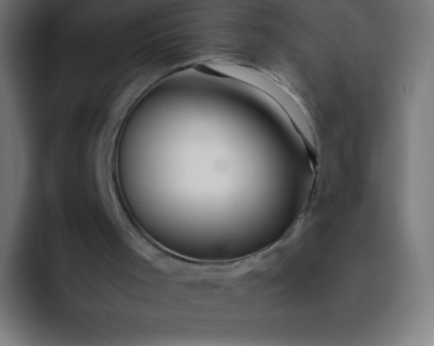 X0000093240001200710101430
