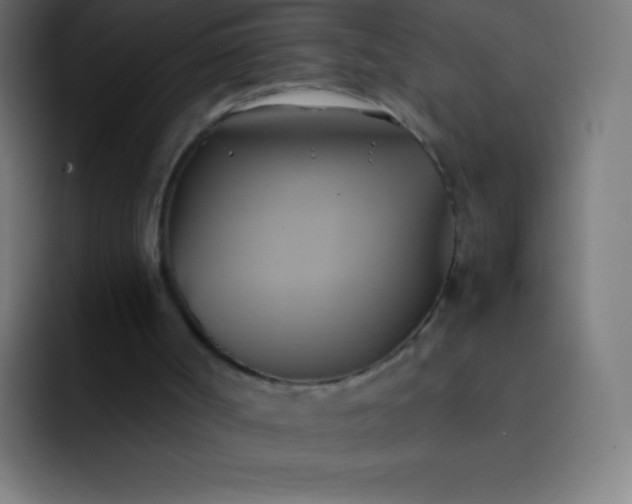 X0000093240002200710101430