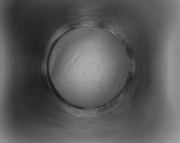 X0000093240004200710101430