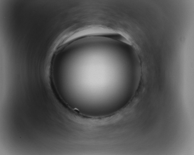 X0000093240007200710101430