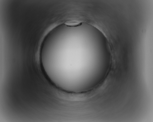 X0000093240008200710101430
