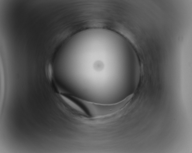X0000093240013200710101430